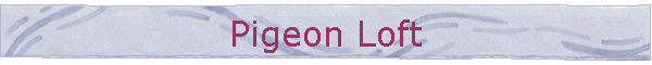 Pigeon Loft
