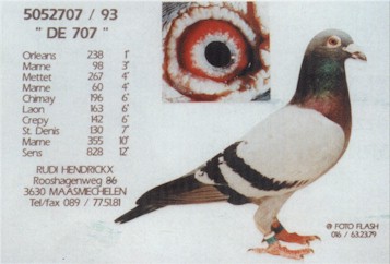 707.jpg (25552 bytes)